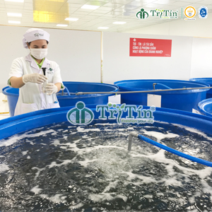 Kiểm tra các thông số kỹ thuật