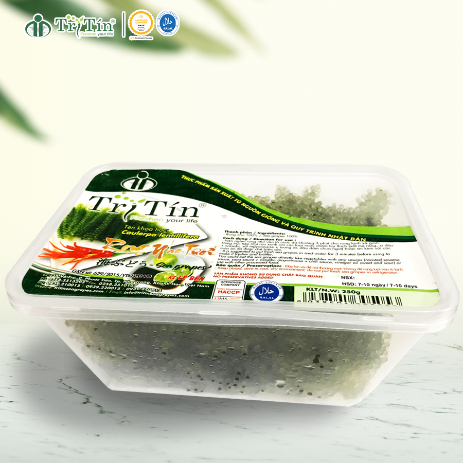 RONG NHO TƯƠI TRI TÍN - HỘP 250g