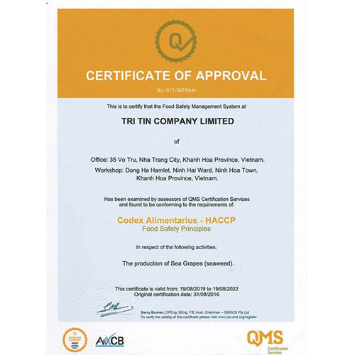 Các giấy chứng nhận