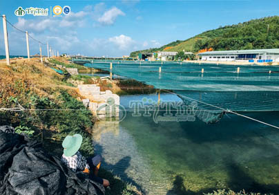 MỘT GÓC NHỎ CỦA TRANG TRẠI NUÔI TRỒNG RONG NHO