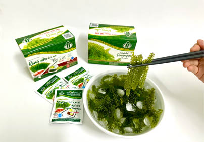 RONG NHO - TỰ HÀO HÀNG VIỆT NAM