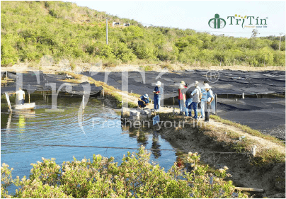 TRUYỀN HÌNH KTV ĐẾN THẮM CƠ SỞ RONG NHO TRÍ TÍN