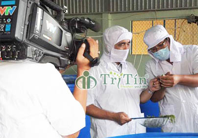 KTV KHOA HỌC VÀ CÔNG NGHỆ: ỨNG DỤNG CÔNG NGHỆ TĂNG NẮNG SUẤT SẢN PHẨM