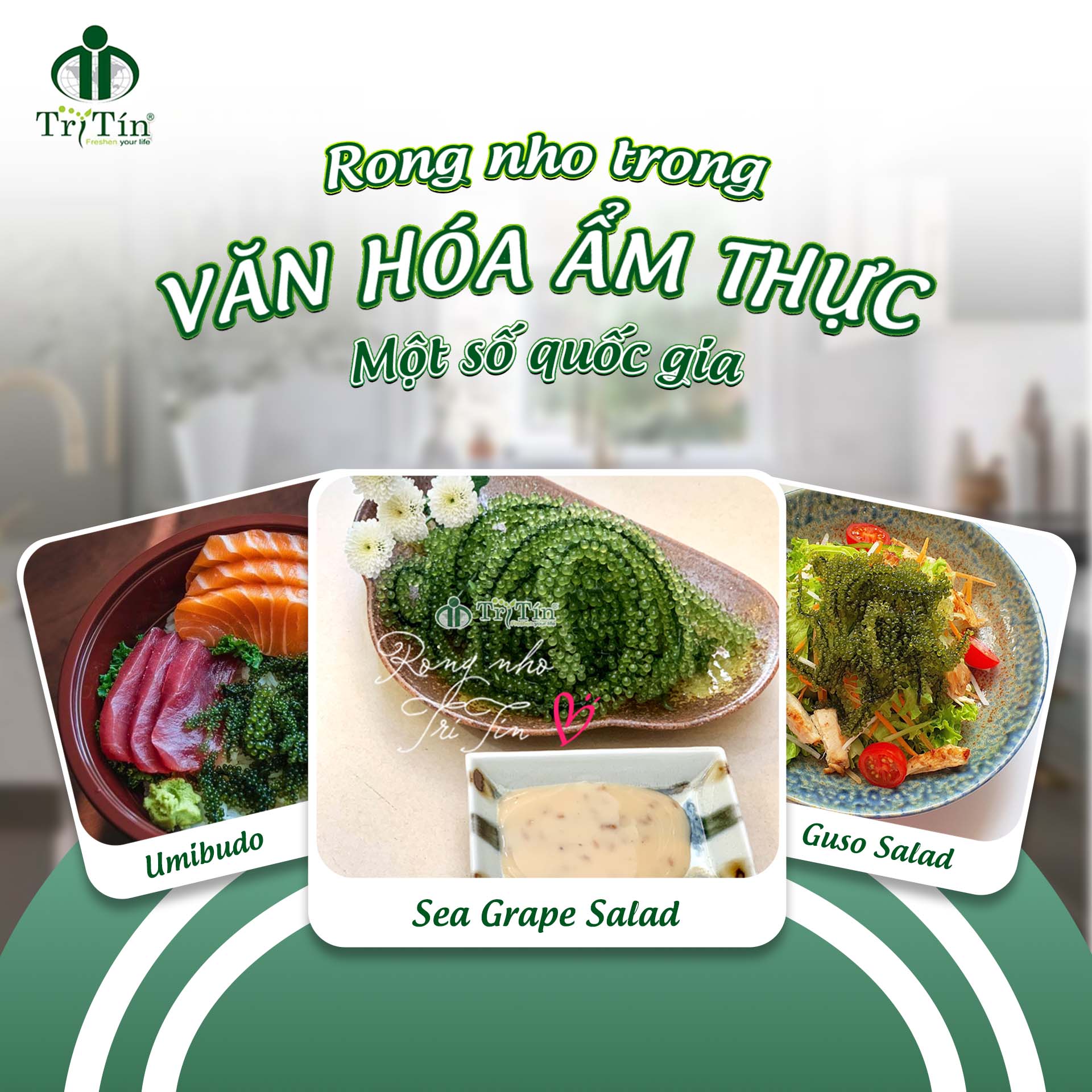 RONG NHO TRONG VĂN HÓA ẨM THỰC MỘT SỐ QUỐC GIA