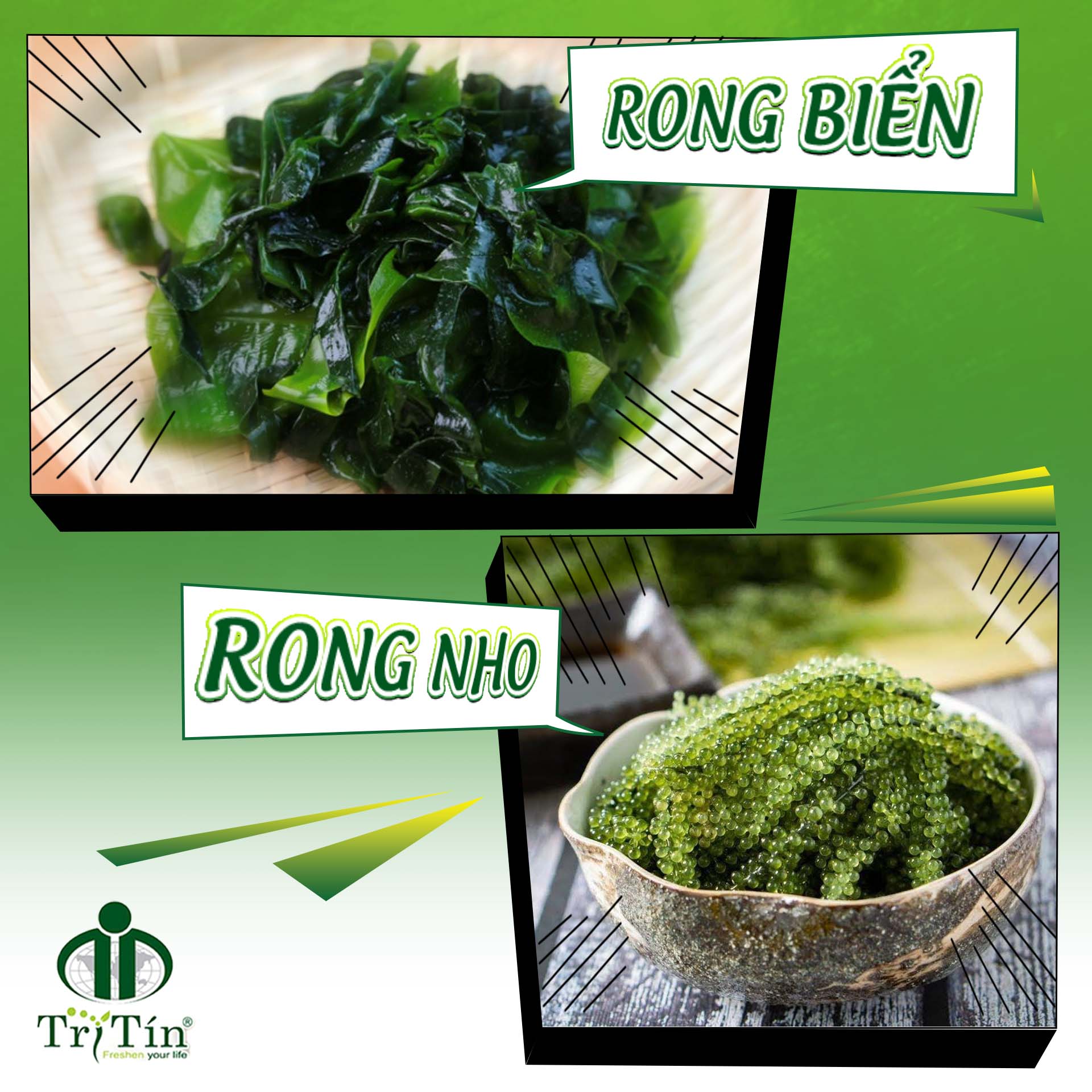 KHÁM PHÁ GIÁ TRỊ DINH DƯỠNG CỦA RONG NHO VÀ RONG BIỂN