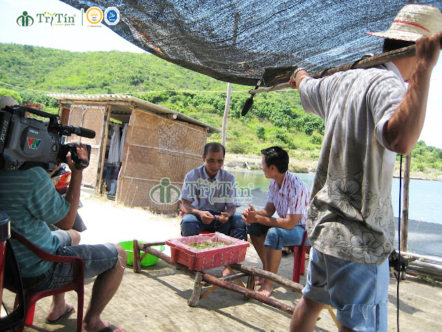 2008-VTV9-phương pháp trồng rong nho Trí Tín