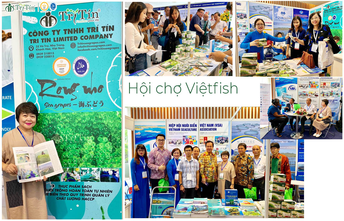 Hội chợ Vietfish 2019