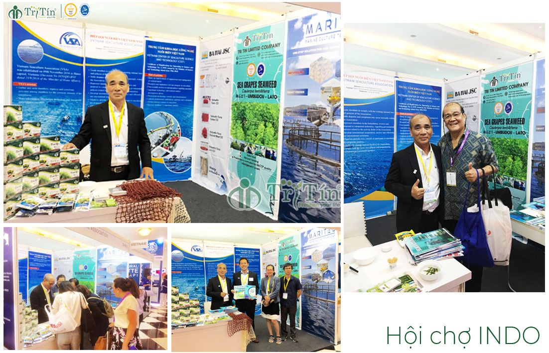 Hội chợ tại INDO