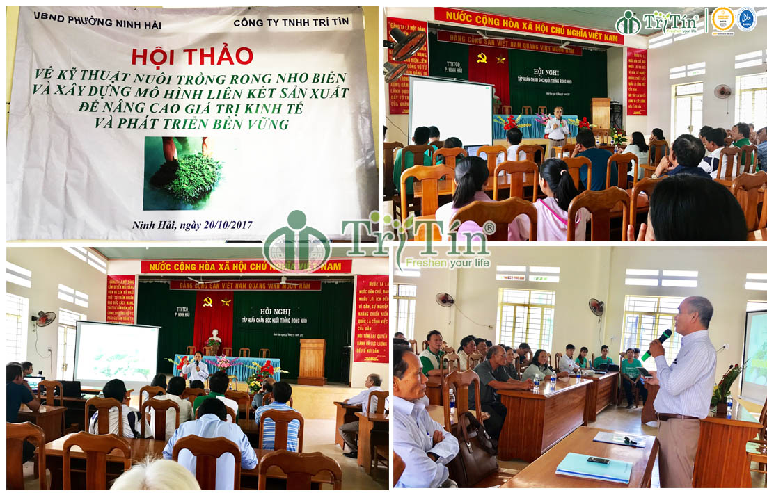 Hội thảo kỹ thuật nuôi trồng rong nho và xây dựng mô hình liên kết sản xuất