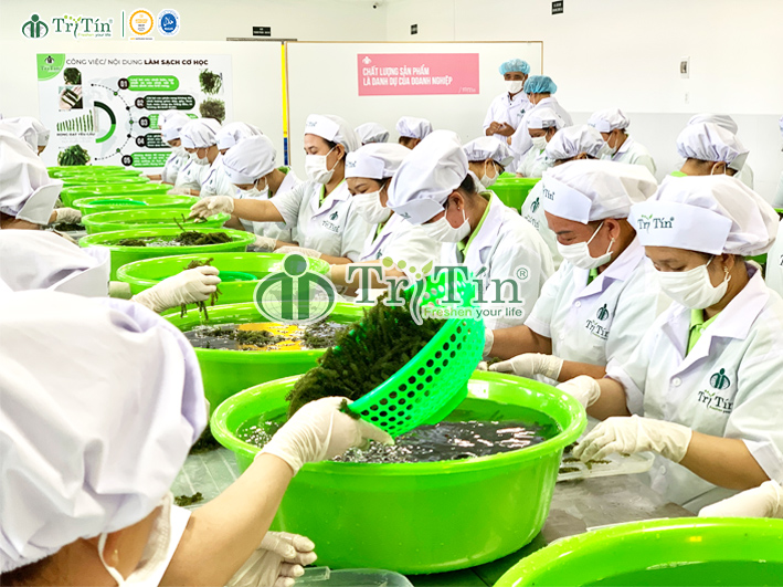 Làm rong nho tươi