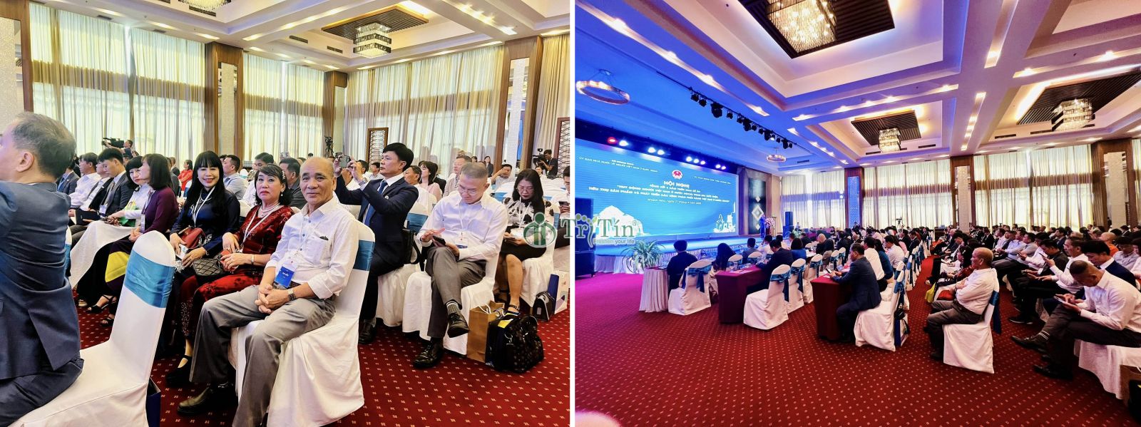 1 Hội nghị tổng kết người việt ở nước ngoài tiêu thụ hàng Việt Nam