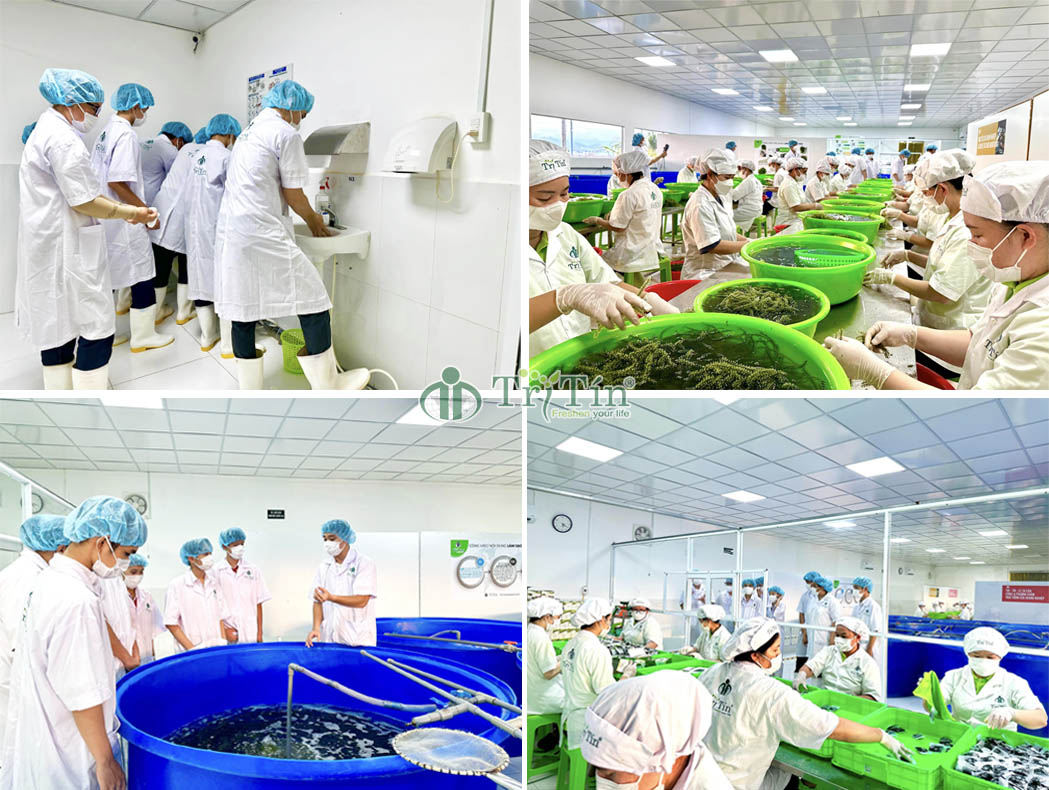 2 Trường THCS Trần Nhân Tông tham quan nhà xưởng