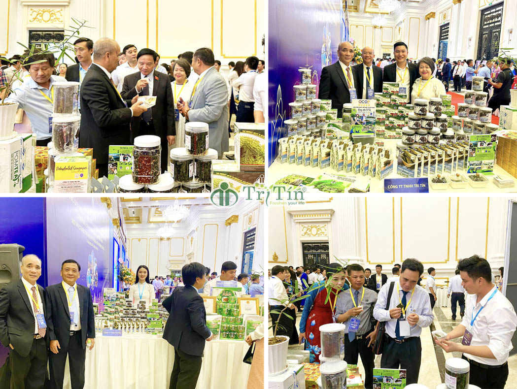 4 Hội nghị công bố quy hoạch và xúc tiến đầu tư tỉnh khánh hoà