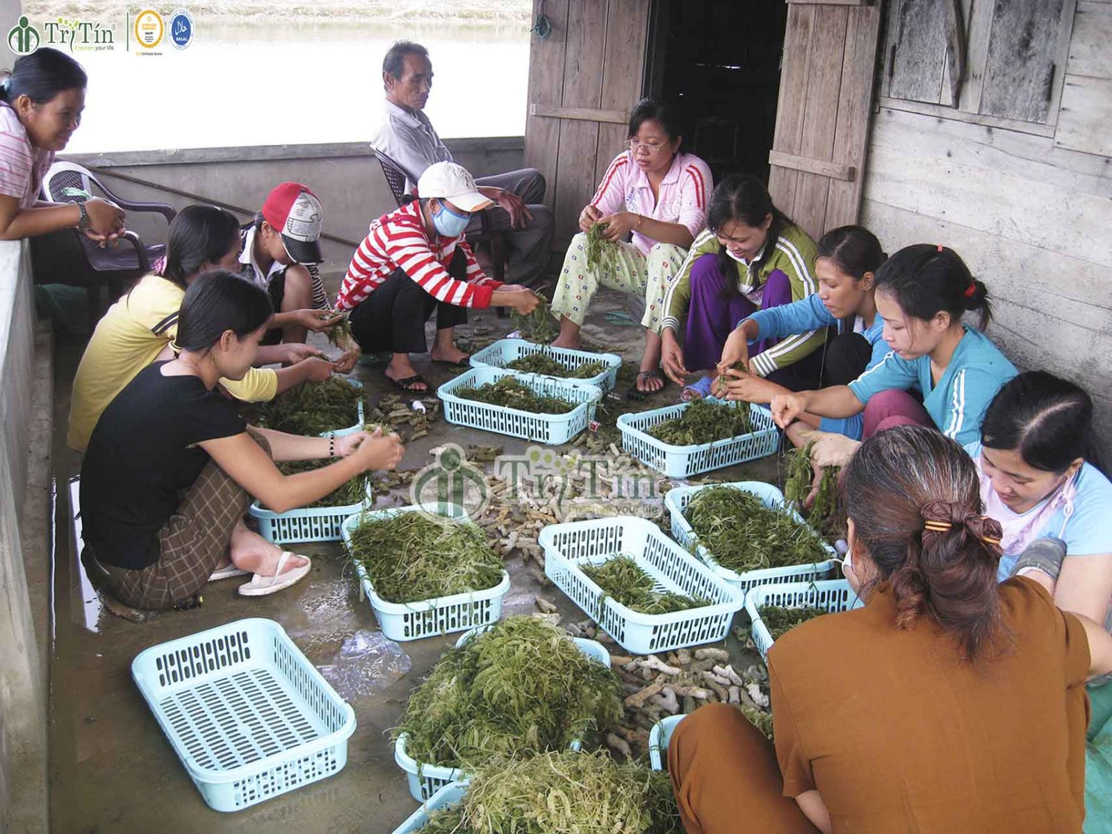 Chuyển đổi nghề cho người dân ven biển