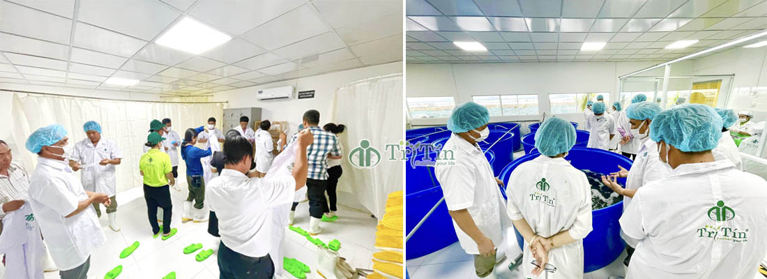 Đoàn tham quan khu vực sơ chế rong