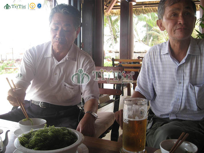 Khách hàng Nhật Bản dùng rong nho Trí Tín