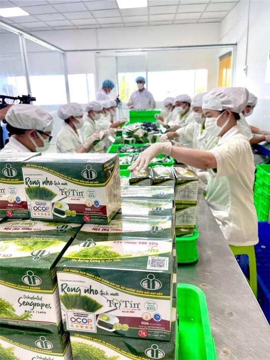 Quay phim khâu đóng hàng