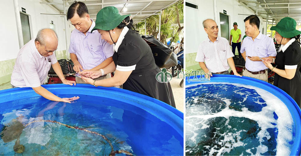 Tham quan khu thí nghiệm rong tảo