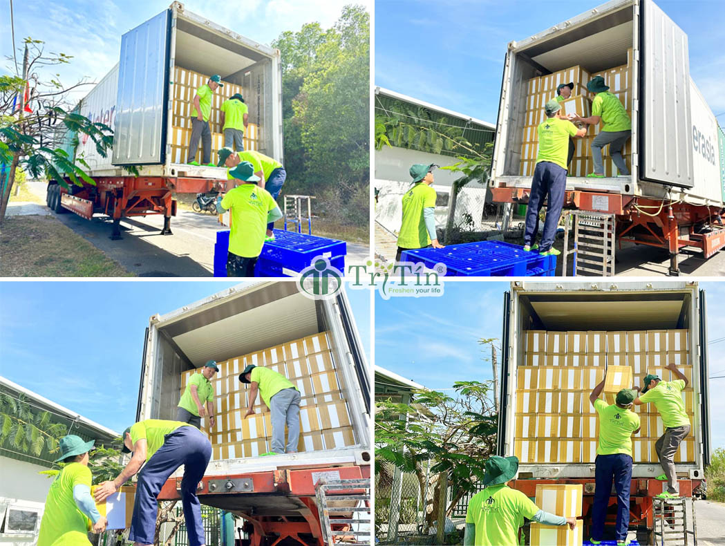 Chất hàng lên xe