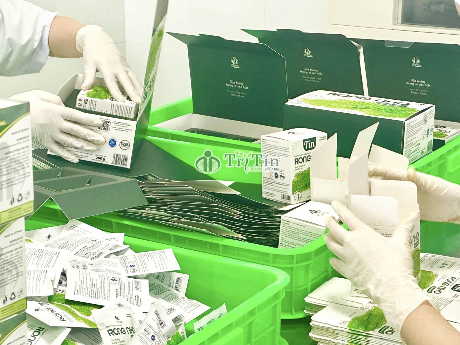 Đóng gói hộp rong nho tách nước