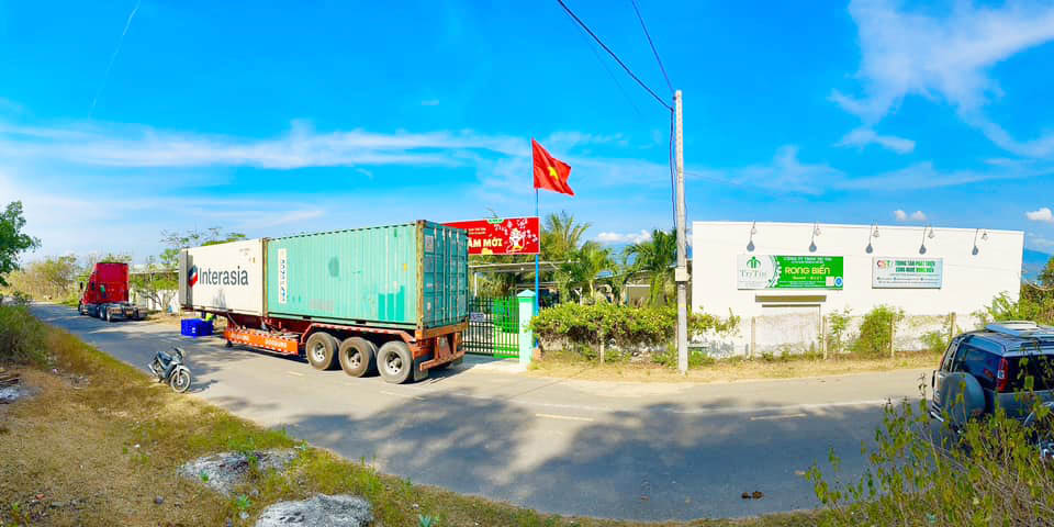 Xuất hàng đầu năm mới